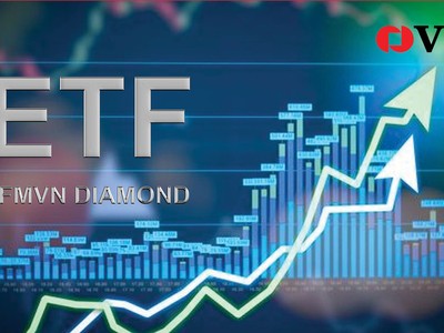 VFM sắp IPO quỹ ETF dựa trên chỉ số Vietnam Diamond Index
