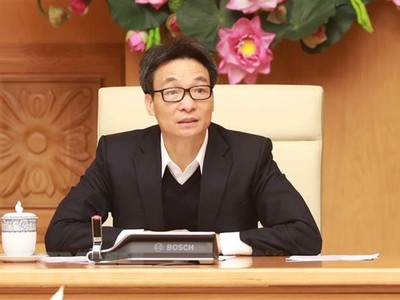 Phó Thủ tướng Chính phủ Vũ Đức Đam phát biểu chỉ đạo cuộc họp. (Ảnh: Doãn Tấn/TTXVN).