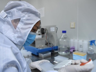 Ảnh chỉ có tính minh họa. (Nguồn: THX/TTXVN).