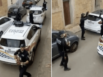 Ảnh: Heidi Friedenberger.