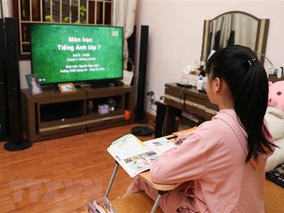 Học sinh học trực tuyến. (Ảnh minh họa. Thanh Tùng/TTXVN).