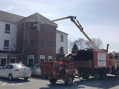 Vướng lệnh cách ly anh chàng lái xe cần cẩu đến thăm mẹ