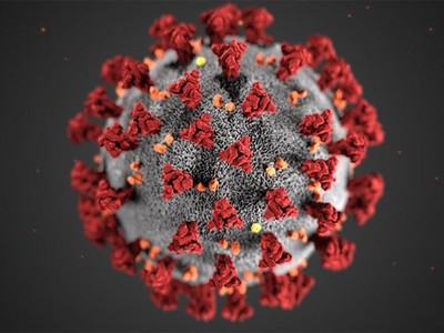 Hình minh họa cấu trúc 3D của virus SARS-CoV-2. Ảnh: CDC.