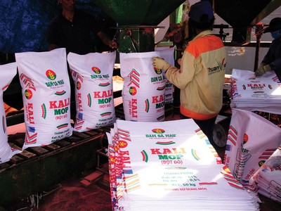 Cổ phiếu phân bón: Tốt xấu đan xen 