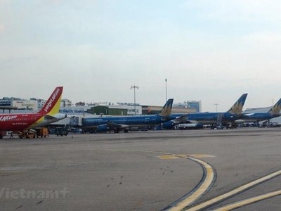 Máy bay của các hãng hàng không Vietnam Airlines và Vietjet. (Ảnh: Việt Hùng/Vietnam+).