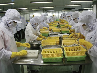 Camimex Group (CMX): Bất thường bức tranh tài chính