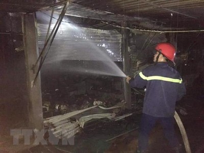 (Ảnh minh họa: TTXVN phát).