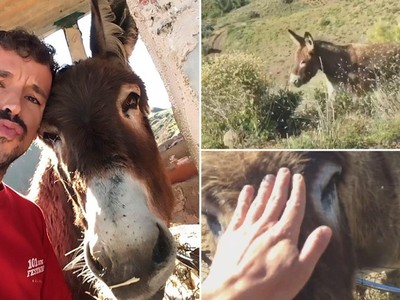 Chàng trai xúc động đến phát khóc khi đoàn tụ với thú cưng sau chuỗi ngày xa cách vì Covid-19