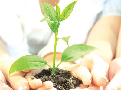 “Ma mới” và “ma cũ”