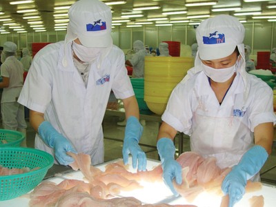 Thủy sản Hùng Vương (HVG) từng công bố báo cáo tài chính kiểm toán hợp nhất với mức lỗ 1.075 tỷ đồng, tăng 600 tỷ đồng so với báo cáo tự lập.