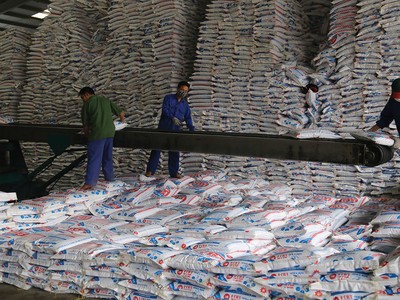 Supe phốt phát và hóa chất Lâm Thao (LAS) không chia cổ tức  năm 2020