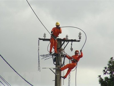 Công nhân Công ty Điện lực Quảng Bình sửa chữa điện lưới. (Ảnh: Đức Thọ/TTXVN).