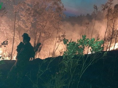 Cháy rừng tại Hà Tĩnh.