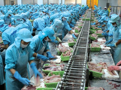 Tái cấu trúc Bianfishco: Những rủi ro pháp lý chưa được đánh giá đúng