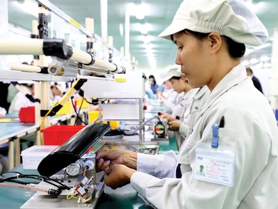 EVFTA gia tăng giá trị từ những cải cách sau đường biên