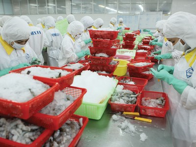 Mỹ là thị trường xuất khẩu chủ lực của các doanh nghiệp thủy sản như MPC, SMC.