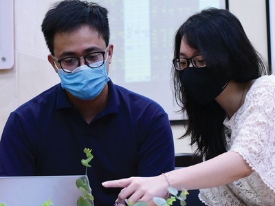 Cơ hội ẩn trong đà giảm của chứng khoán ASEAN