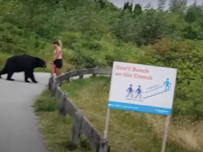 Đang tập thể dục gặp phải gấu hoang dã, cô gái bỏ chạy "thục mạng" tìm đường thoát