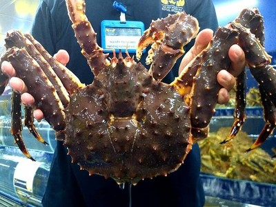 Cua hoàng đế Canada được bán tại cửa hàng hải sản trên đường Nguyễn Tri Phương, quận 10.