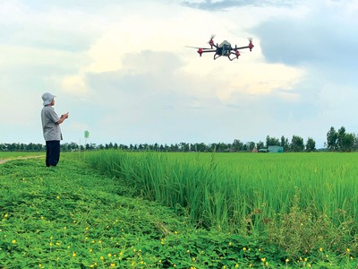 Ứng dụng công nghệ cao vào sản xuất nông nghiệp giúp gia tăng giá trị nông sản