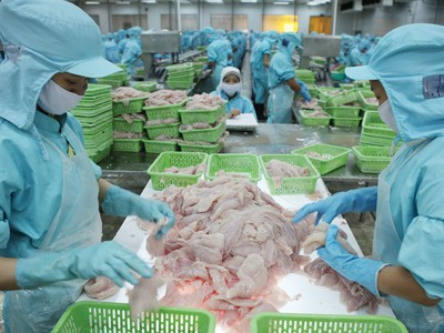 Triển vọng kinh doanh của các doanh nghiệp thủy sản sẽ tích cực hơn về cuối năm nhờ nhu cầu đang phục hồi. Ảnh: Dũng Minh