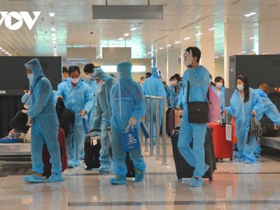 247 công dân Việt Nam về nước.