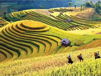 Yên Bái nổi tiếng với ruộng bậc thang Mù Cang Chải.