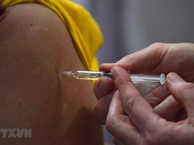 Đức sẽ có vắcxin ngừa COVID-19 vào đầu năm 2021. (Ảnh: AFP/TTXVN).