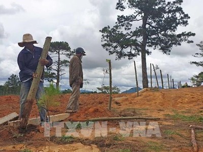 Công ty cổ phần Cmistone Việt Nam bị phạt 280 triệu về vi phạm trong lĩnh vực khoáng sản