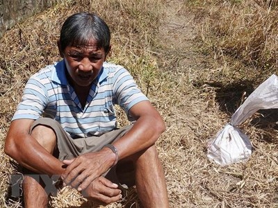 Đối tượng Trần Văn Hải cùng tang vật bị bắt giữ quả tang. (Ảnh: TTXVN phát).