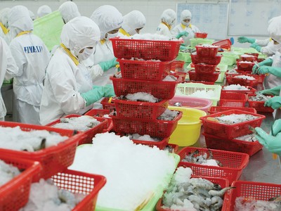 Sản phẩm tôm muốn thâm nhập các hệ thống tiêu thụ cấp cao phải đạt chuẩn nuôi ASC. Ảnh: Dũng Minh.