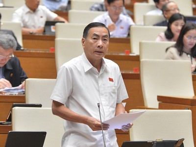 Đại biểu Phạm Văn Hòa (Đồng Tháp) phát biểu tại phiên thảo luận.