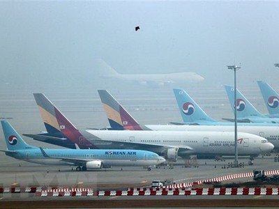 Máy bay của hãng hàng không Korean Air và Asiana Airlines tại sân bay quốc tế Incheon, Hàn Quốc. (Ảnh: Yonhap/TTXVN).