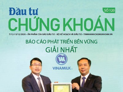 Đầu tư Chứng khoán số 120/2020