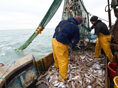 Ngư dân đánh bắt cá ở ngoài khơi bờ biển phía Đông Nam Anh ngày 12/10/2020. Ảnh: AFP/TTXVN.