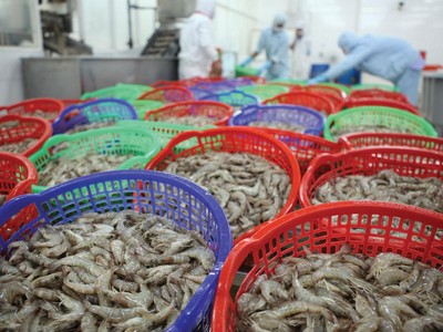 Anh là thị trường xuất khẩu quan trọng của sản phẩm tôm Việt Nam.