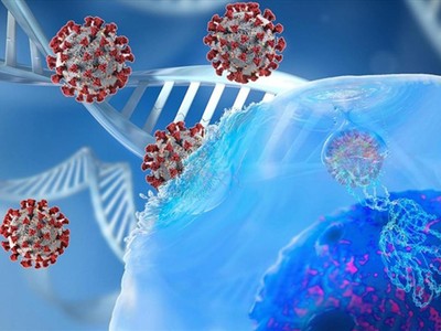 (Ảnh minh họa: KT)