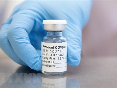 Vắcxin phòng COVID-19 do hãng dược phẩm AstraZeneca phối hợp với Đại học Oxford của Anh bào chế. (Ảnh: AFP/ TTXVN).