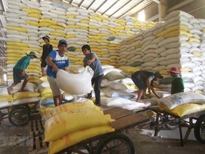 Chuẩn bị nguồn hàng gạo xuất khẩu tại Công ty Lương thực sông Hậu thuộc Tổng công ty Lương thực miền Nam. (Ảnh: TTXVN).