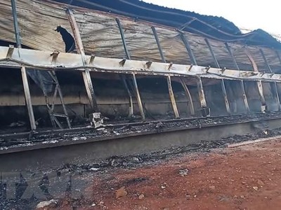 Trang trại nuôi lợn bị cháy rụi hoàn toàn. (Ảnh: TTXVN phát).