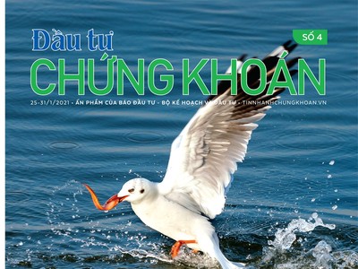 Đầu tư Chứng khoán số 4/2021