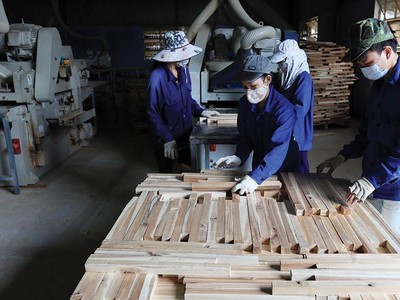 Ngành gỗ đặt mục tiêu xuất khẩu 13 tỷ USD trong năm 2021. Ảnh: Đức Thanh.