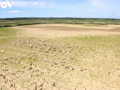 Việt Nam phải đối mặt với tình trạng thiếu hụt nguồn nước, hạn mặn gay gắt trong năm 2021.