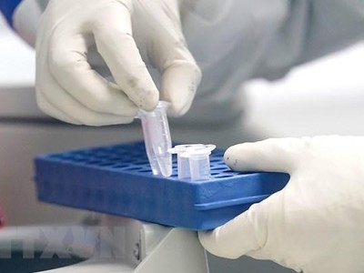 (Ảnh: TTXVN/Vietnam+).