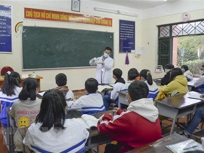 (Ảnh minh họa. Xuân Tư/TTXVN).