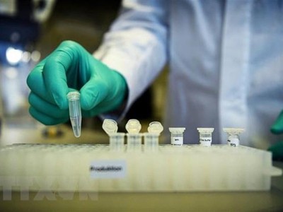 Thử nghiệm chế vắcxin tại Công ty CureVac của Đức. (Ảnh: Reuters/TTXVN).