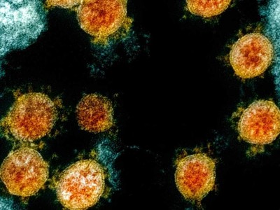 Ảnh minh họa: NewsBox9.