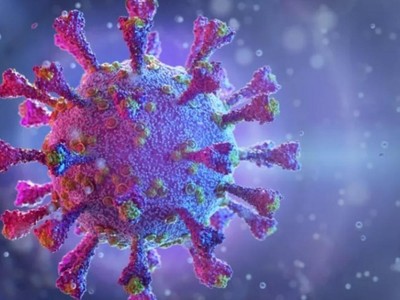 Virus SARS-CoV-2. Ảnh: Shutterstock.