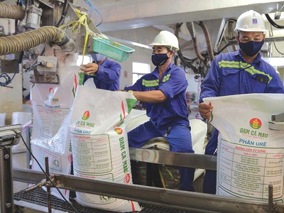 Doanh nghiệp niêm yết triển khai kế hoạch kinh doanh ngay sau kỳ nghỉ Tết