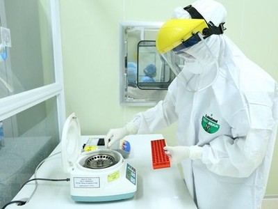 (Ảnh: TTXVN/Vietnam+).